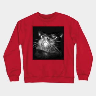 Oppressive Feline Crewneck Sweatshirt